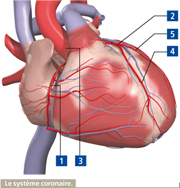 coeur