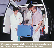 greffe organe